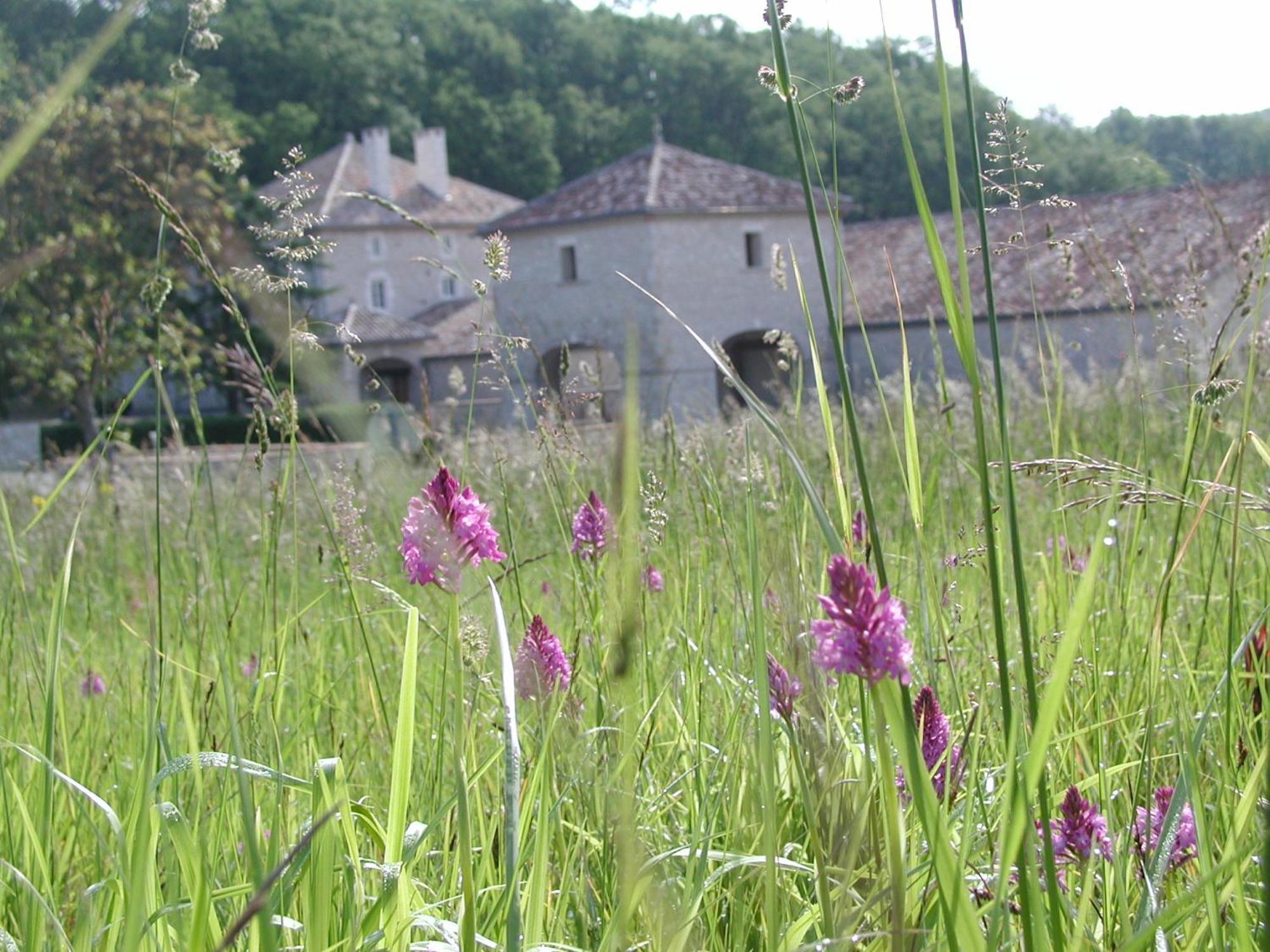 Chateau Lecusse - La Grande Roche - Hotel, Spa, Boutique & Restaurant Broze 外观 照片