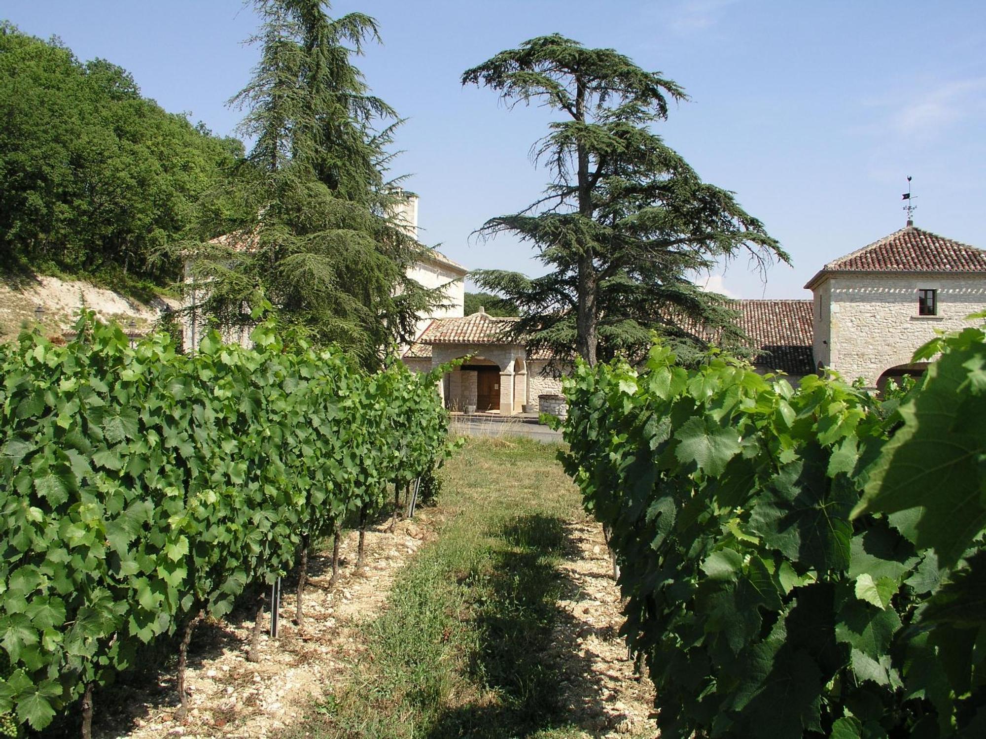 Chateau Lecusse - La Grande Roche - Hotel, Spa, Boutique & Restaurant Broze 外观 照片